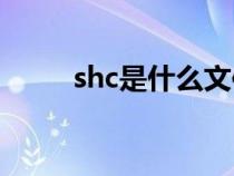 shc是什么文件（shx是什么文件）