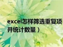 excel怎样筛选重复项 进行统计（excel如何筛选重复数据并统计数量）