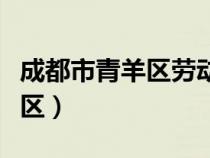 成都市青羊区劳动监察大队电话（成都市青羊区）