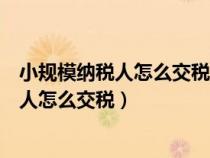 小规模纳税人怎么交税交多少日超出部分交吗（小规模纳税人怎么交税）