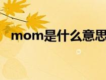 mom是什么意思（moment是什么意思）