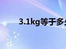 3.1kg等于多少g（1kg等于多少g）