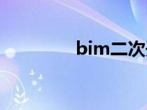 bim二次开发（二次开发）