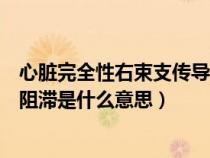 心脏完全性右束支传导阻滞是什么意思（完全性右束支传导阻滞是什么意思）