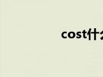 cost什么意恩（costs）