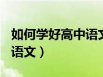 如何学好高中语文作文600字（如何学好高中语文）