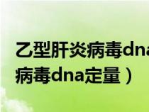 乙型肝炎病毒dna定量高于正常值（乙型肝炎病毒dna定量）