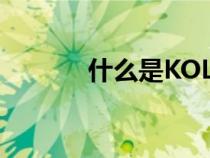 什么是KOL客户（什么是kol）