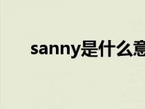 sanny是什么意思啊（sany什么意思）