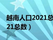 越南人口2021总人数多少（越南人口数量2021总数）