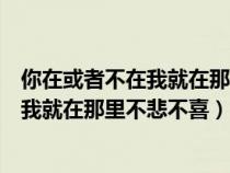 你在或者不在我就在那里不悲不喜是什么歌（你在或者不在我就在那里不悲不喜）