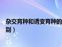 杂交育种和诱变育种的根本区别（杂交育种与诱变育种的区别）