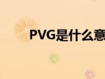 PVG是什么意思（pvg是什么意思）