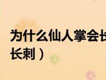 为什么仙人掌会长刺二年级（为什么仙人掌会长刺）