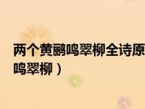 两个黄鹂鸣翠柳全诗原文表达了作者的什么情感（两个黄鹂鸣翠柳）