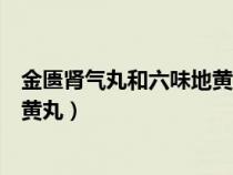 金匮肾气丸和六味地黄丸的功效区别（金匮肾气丸和六味地黄丸）