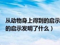 从动物身上得到的启示发明了什么的视频（从动物身上得到的启示发明了什么）