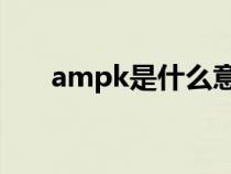 ampk是什么意思（APK是什么意思）