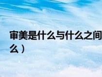 审美是什么与什么之间建立起一种适应性的联系（审美是什么）