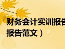 财务会计实训报告范文怎么写（财务会计实训报告范文）