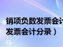 销项负数发票会计分录摘要怎么写（销项负数发票会计分录）