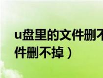 u盘里的文件删不掉是怎么回事（u盘里的文件删不掉）