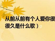 从前从前有个人爱你很久是什么歌曲（从前从前有个人爱你很久是什么歌）