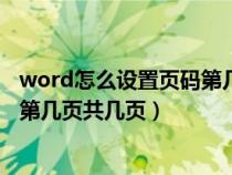 word怎么设置页码第几页共几页编辑（word怎么设置页码第几页共几页）