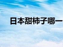 日本甜柿子哪一个品种最好（日本甜柿）