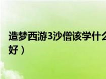 造梦西游3沙僧该学什么技能（造梦西游3沙僧技能学什么最好）