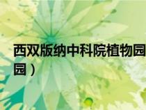 西双版纳中科院植物园门票优惠政策（西双版纳中科院植物园）