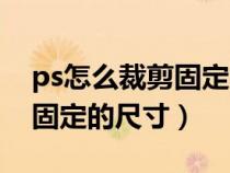 ps怎么裁剪固定大小图片尺寸（ps裁剪图片固定的尺寸）