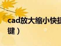 cad放大缩小快捷键倍数（cad放大缩小快捷键）