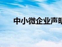 中小微企业声明函模板（声明函模板）