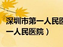 深圳市第一人民医院网上预约挂号（深圳市第一人民医院）