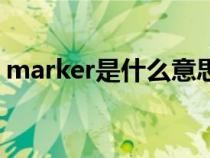 marker是什么意思译（marker是什么意思）