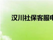 汉川社保客服电话（汉川市社保查询）