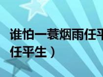 谁怕一蓑烟雨任平生是哪首诗（谁怕一蓑烟雨任平生）