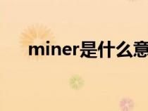 miner是什么意思（mine是什么意思）