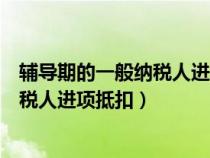 辅导期的一般纳税人进项到什么时候能抵扣（辅导期一般纳税人进项抵扣）