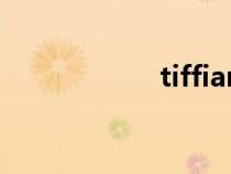 tiffiany手镯（tiff）