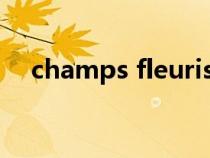 champs fleuris是什么牌子（champs）