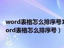 word表格怎么排序号123456下拉为什么会少一个数字（word表格怎么排序号）