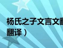 杨氏之子文言文翻译500字（杨氏之子文言文翻译）