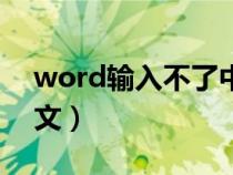 word输入不了中文标点（word输入不了中文）