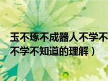 玉不琢不成器人不学不知道所蕴含的道理（玉不琢不成器人不学不知道的理解）