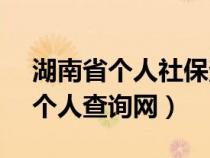 湖南省个人社保查询网12333（湖南省社保个人查询网）