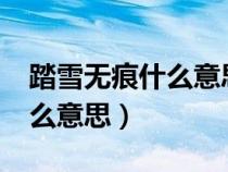 踏雪无痕什么意思?猜一生肖（踏雪无痕是什么意思）