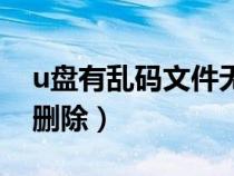 u盘有乱码文件无法删除（u盘乱码文件无法删除）