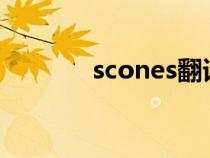 scones翻译成中文（scone）